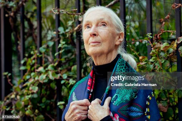 Primatologist Jane Goodall is photographed for New York Times on October 17, 2017 in New York City. PUBLISHED IMAGE.