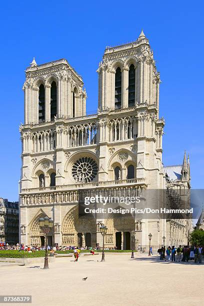 notre dame - design pics don hammond stock pictures, royalty-free photos & images