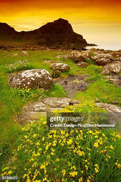 landscape in northern ireland - design pics don hammond stock-fotos und bilder