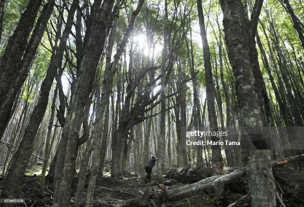 Ushuaia, Earth's Southernmost City, Faces Climate Change And Other Environmental Issues