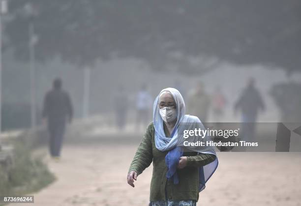 An elderly woman with her nose coverved walks along a road at Deer Park , Hauz Khas on November 13, 2017 in New Delhi, India. The air quality in...