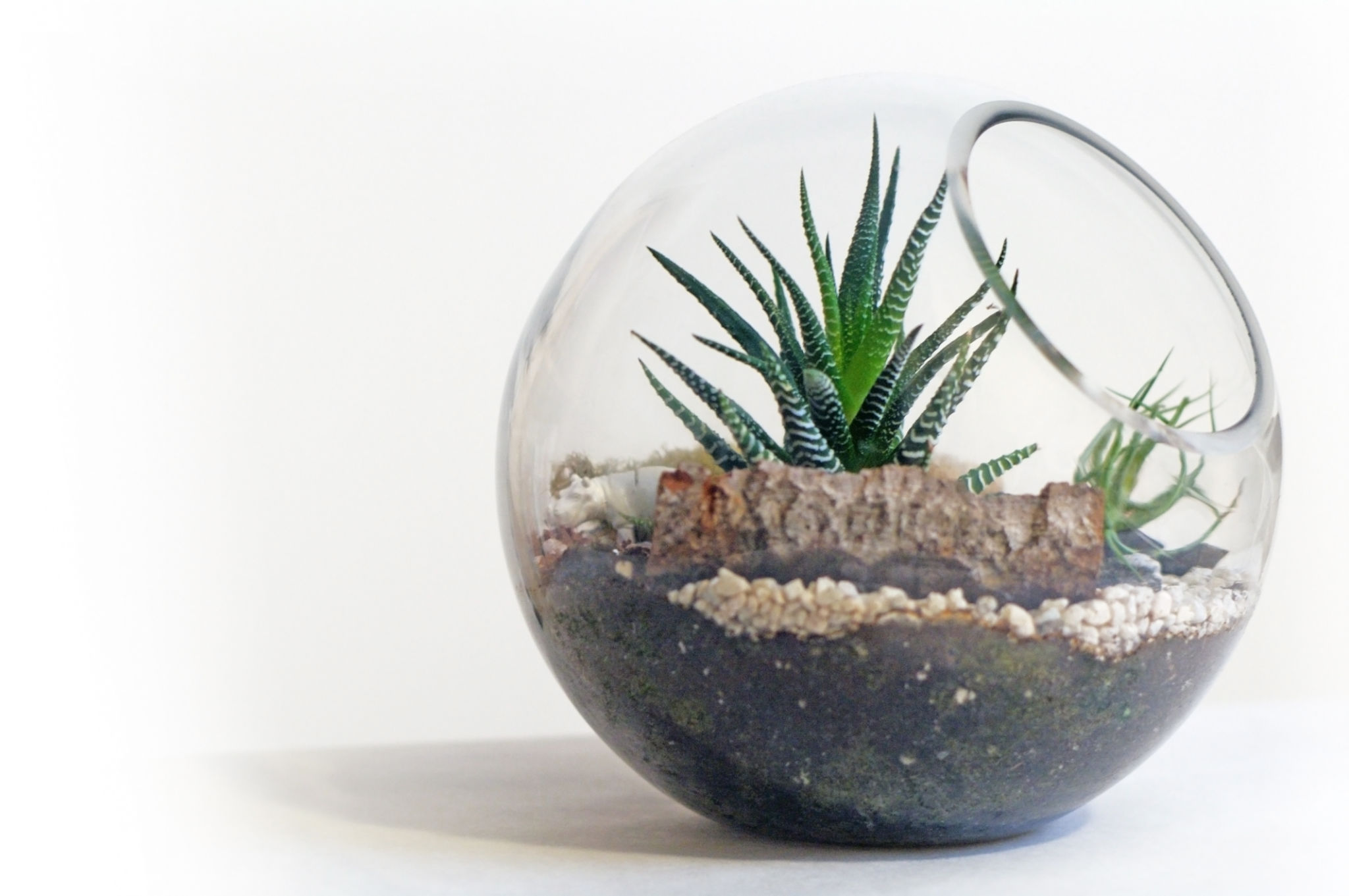 decorative terrarium