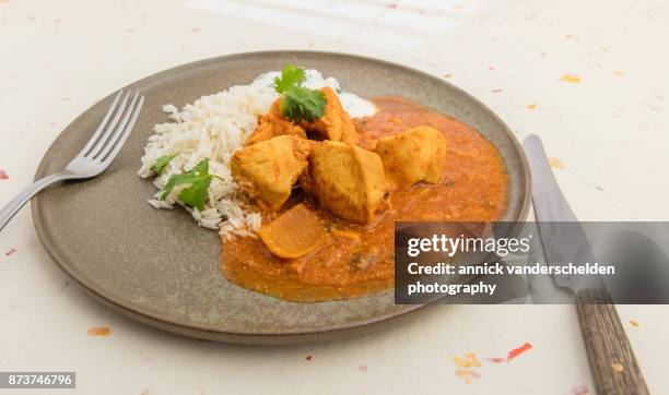 chicken curry, rice and yoghurt-cilantro mixture. - curry soup stock pictures, royalty-free photos & images