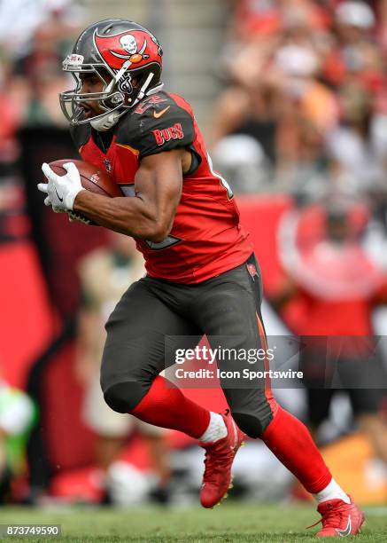 Tampa Bay Buccaneers running back Doug Martin carries the ball during the second half of an NFL game between the New York Jets and the Tampa Bay...