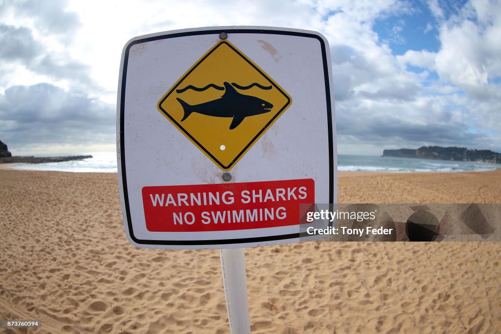 Avoca Beach Closes Following Shark Attack