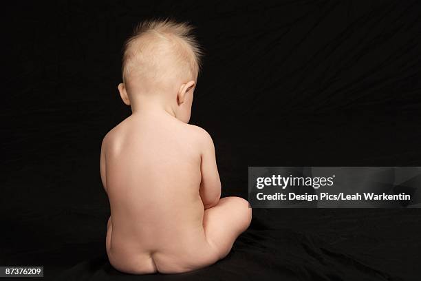 back view of a baby boy - boys bare bum stock pictures, royalty-free photos & images