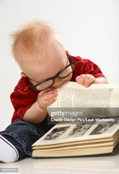baby chewing on a book - biting stock pictures, royalty-free photos & images