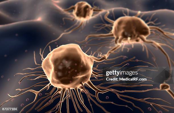 High Resolution Cancer 155 Cancer Cells Background High Res Illustrations - Getty Images