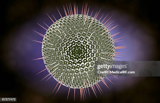 ilustraciones, imágenes clip art, dibujos animados e iconos de stock de herpes virus structure - condiloma
