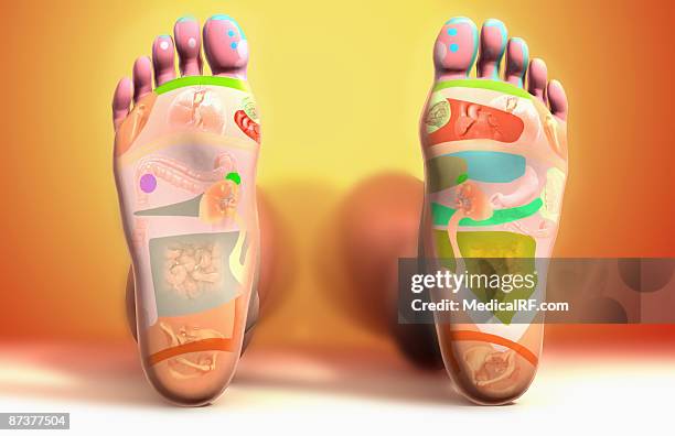 ilustrações de stock, clip art, desenhos animados e ícones de reflexology foot map - reflexology map