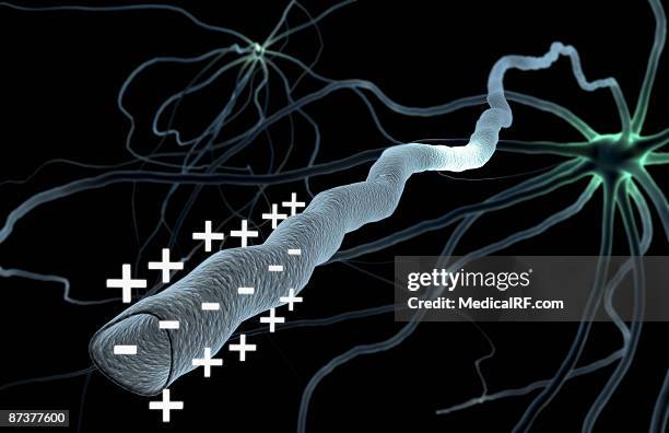 nerve impulse - conduction stock illustrations