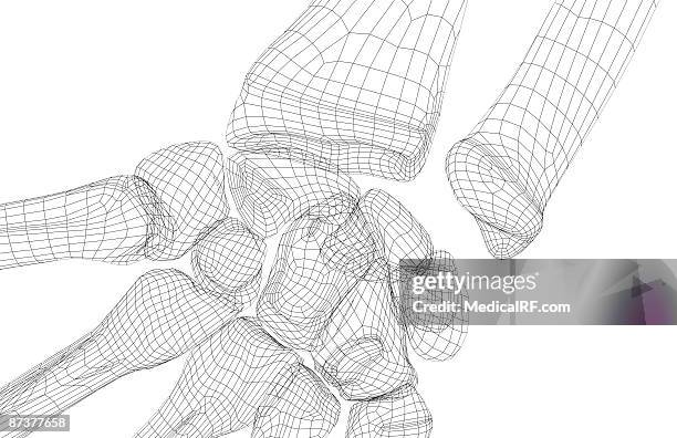 Pisciform Shape 90 Pisiform Stock Photos, High-Res Pictures, and Images - Getty Images