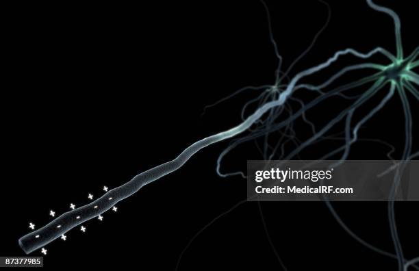 nerve impulse - nerve conduction stock illustrations