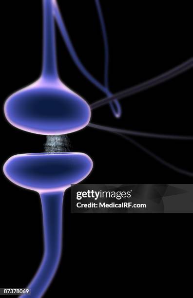 synapse - synapsenspalt stock-grafiken, -clipart, -cartoons und -symbole