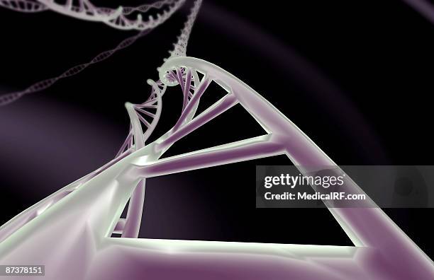 illustrazioni stock, clip art, cartoni animati e icone di tendenza di dna - nucleotide