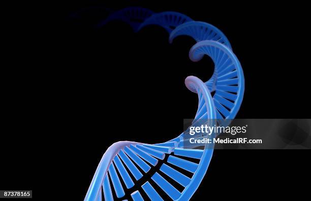 illustrazioni stock, clip art, cartoni animati e icone di tendenza di dna - nucleotide