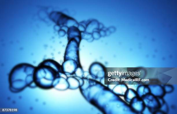 candida albicans - yeast stock illustrations