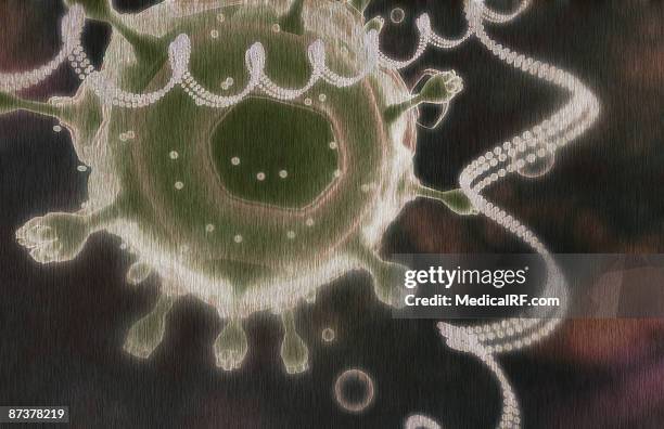 replication and transcription of hiv. - lentivirus stock illustrations