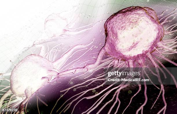 High Resolution Cancer Cancer Cells High-Res Vector Graphic - Getty Images