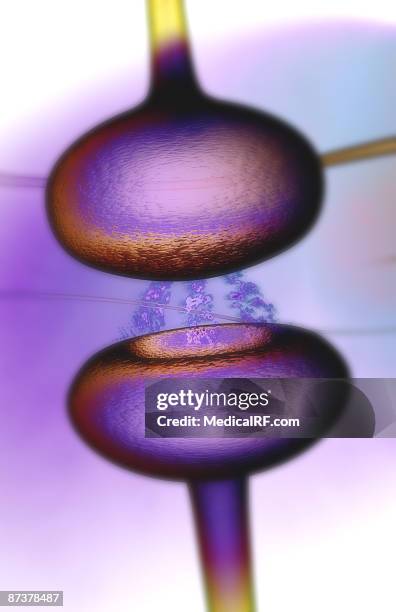 synapse - synapsenspalt stock-grafiken, -clipart, -cartoons und -symbole