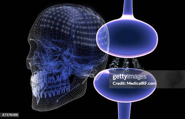 synapse - synapsenspalt stock-grafiken, -clipart, -cartoons und -symbole