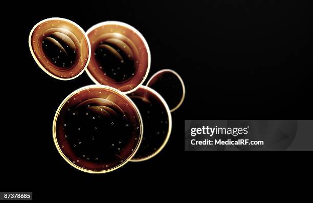 the structure of mrsa - staphylococcus aureus stock illustrations