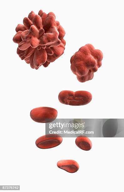 bone marrow cells - bone marrow stock illustrations