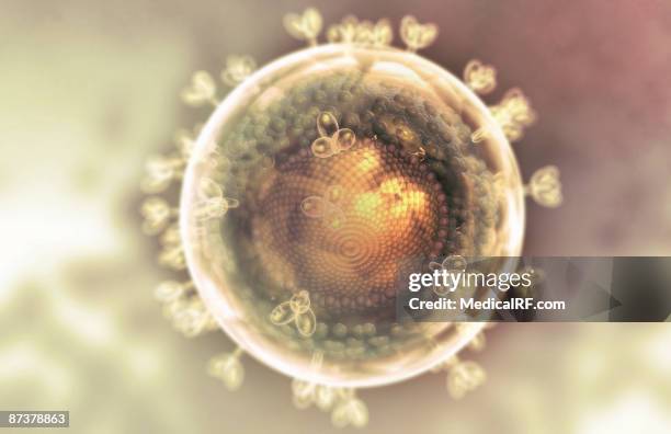 the structure of hiv - glycoprotein stock illustrations