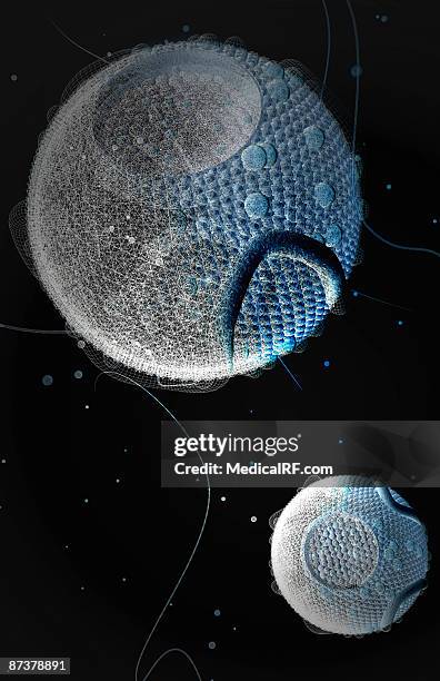 high density lipoproteins - good cholesterol stock illustrations