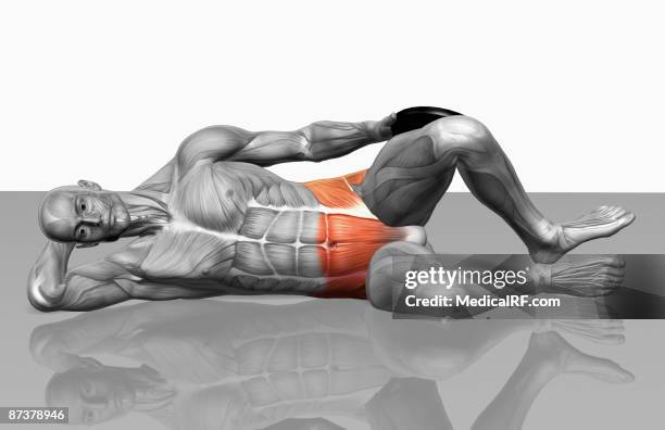 clamshells - transverse abdominis stock illustrations
