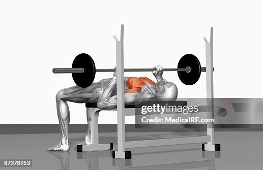 Bench press (Part 2 of 2) Bench press (Part 2 of 2)
