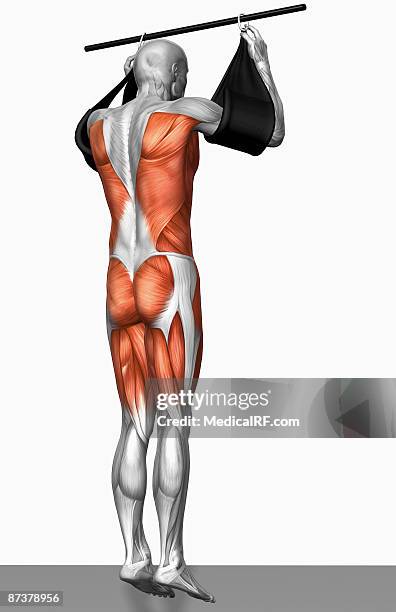 stockillustraties, clipart, cartoons en iconen met hanging leg raises (part 2 of 2) - brede rugspier