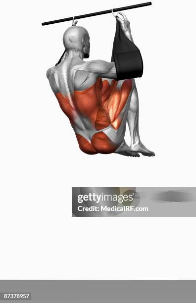 stockillustraties, clipart, cartoons en iconen met hanging leg raises (part 1 of 2) - brede zijspier