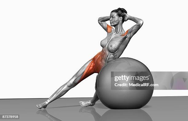 obliques exercise - exercise ball stock illustrations