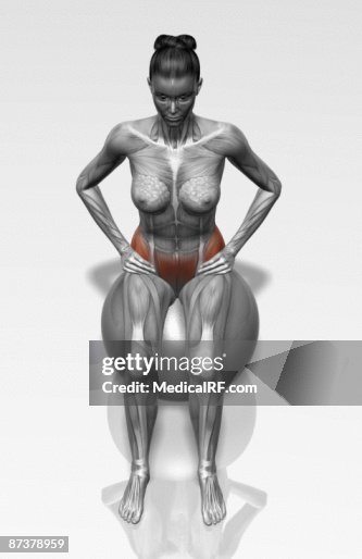 Transverse abdominalis exercise Transverse abdominalis exercise