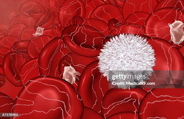 blood cells - fibrin stock illustrations