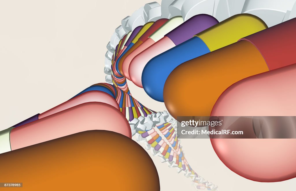 DNA