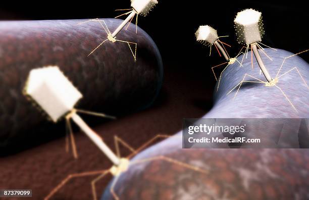 bacteriophage - バクテリオファージ点のイラスト素材／クリップアート素材／マンガ素材／アイコン素材