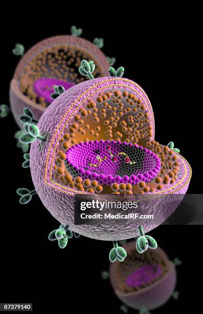 hiv structure - glycoprotein stock illustrations