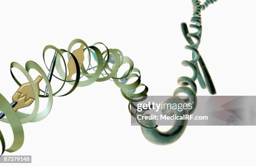 DNA structure DNA structure