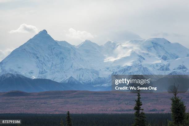 denali national park wilderness - wu swee ong stock pictures, royalty-free photos & images