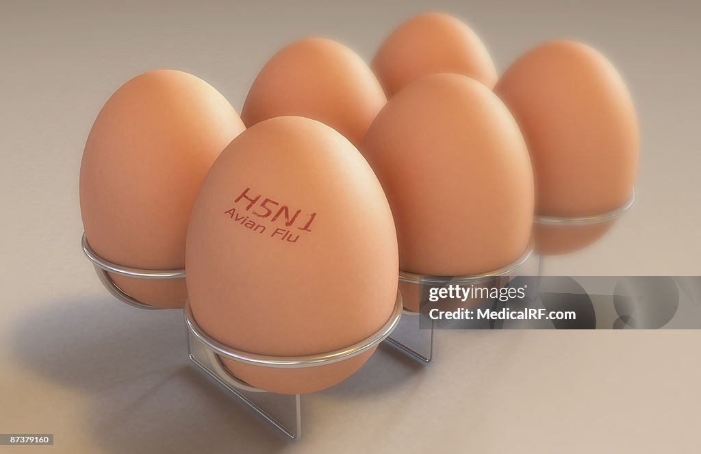 Eggs branded with 'Avian flu'