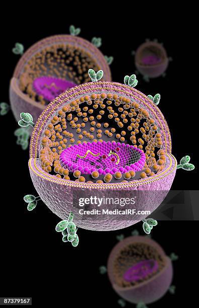 hiv structure - glycoprotein stock illustrations