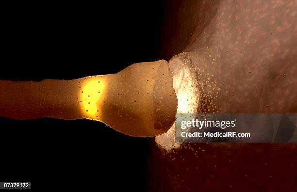 synapse - synapsenspalt stock-grafiken, -clipart, -cartoons und -symbole