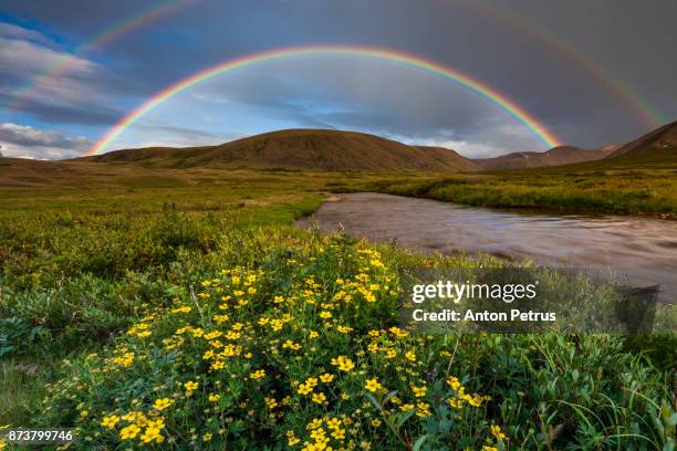 mountain landscape with a rainbow over flowers. - adorno floral fotografías e imágenes de stock