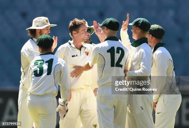 Tom Rogers of Tasmania is congratulated by team mates after taking the wicket of Marcus Harris of Victoria during day two of the Sheffield Shield...