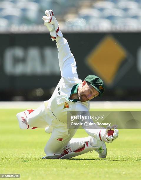 Matthew Wade of Tasmania takes a catch to dismiss Seb Gotch of Victoria during day two of the Sheffield Shield match between Victoria and Tasmania at...