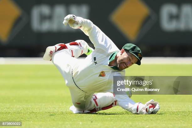 Matthew Wade of Tasmania takes a catch to dismiss Seb Gotch of Victoria during day two of the Sheffield Shield match between Victoria and Tasmania at...