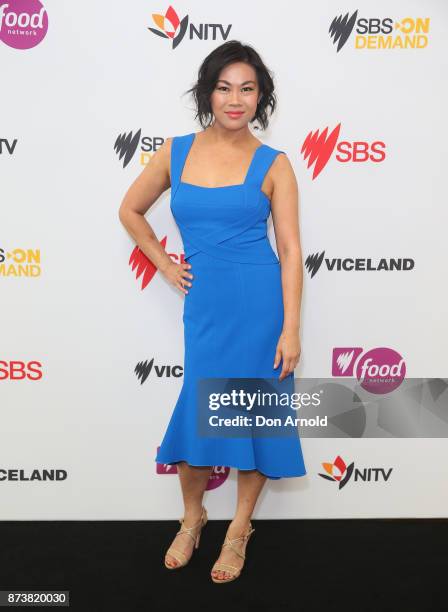 Fiona Choi poses during the SBS 2018 Upfronts on November 14, 2017 in Sydney, Australia.