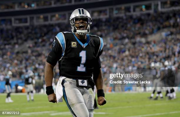 Cam Newton of the Carolina Panthers celebrates a touchdown against the Miami Dolphins in the second quarter during their game at Bank of America...